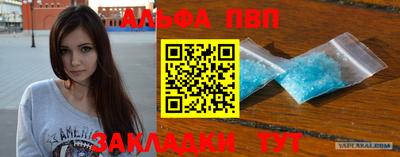 apvp Кингисепп