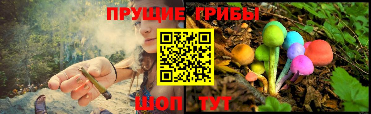 купить   Псилоцибиновые грибы GOLDEN TEACHER  Галлюциногенные грибы Psilocybe  Вход с VPN  Чернушка 