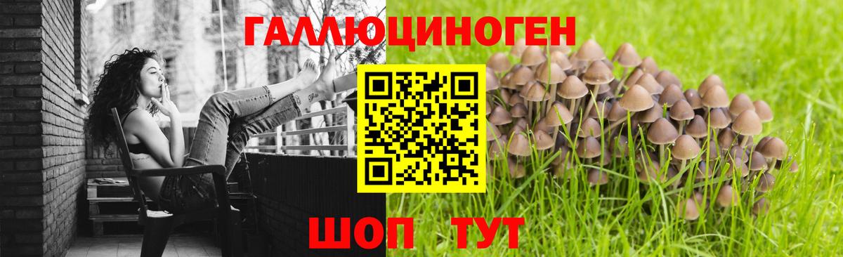 Галлюциногенные грибы мицелий Чернушка