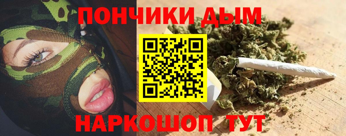 Марихуана гибрид Чернушка